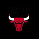 Chicago Bulls