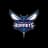 Charlotte Hornets