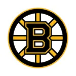 Boston Bruins