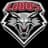 New Mexico Lobos