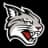 Davidson Wildcats