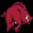 Arkansas Razorbacks