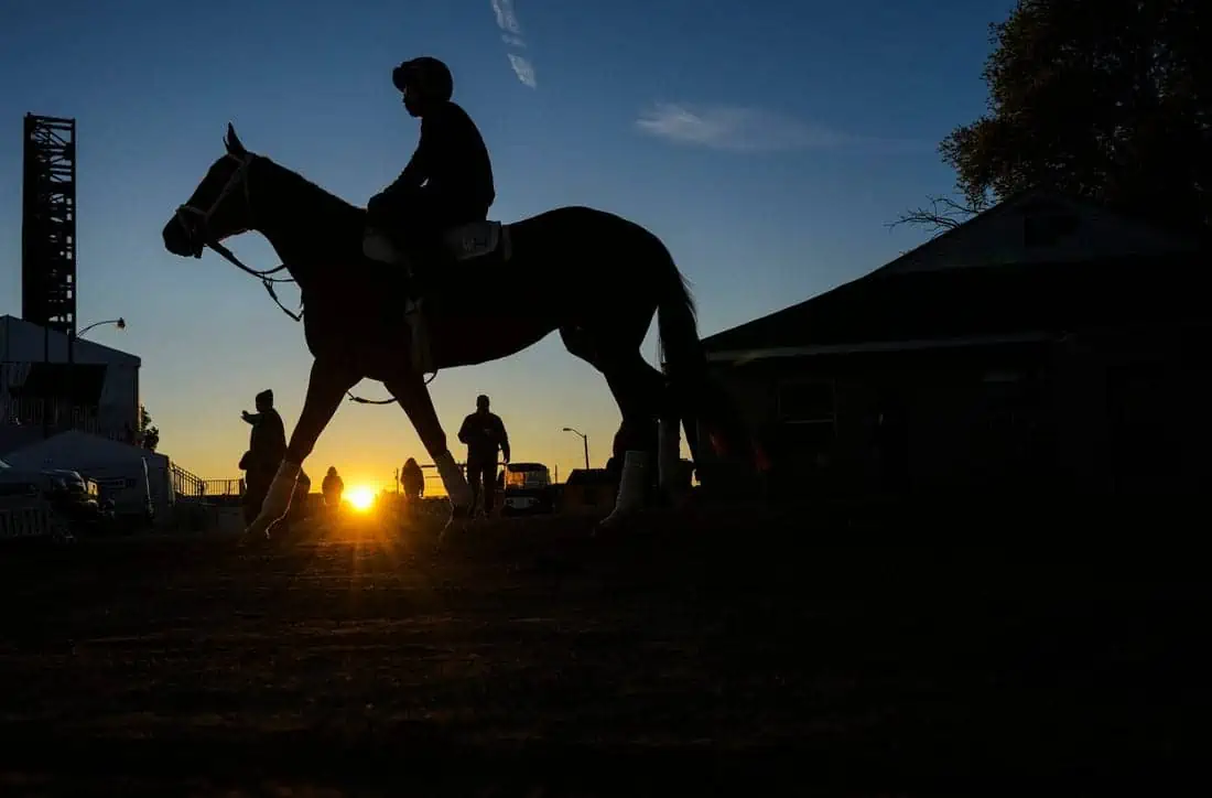 Horse Racing: Kentucky Derby-Workouts