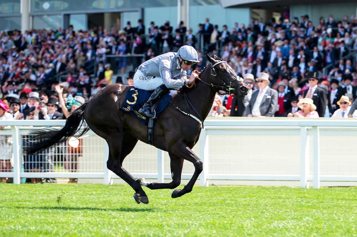 Ebor Festival 2023