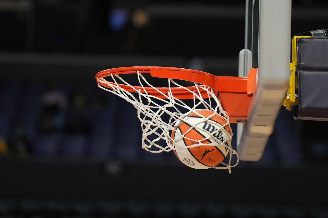 basketball in the hoop
