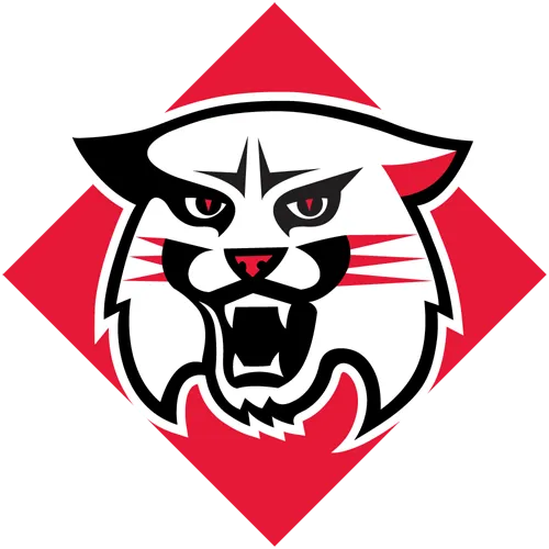 Davidson Wildcats