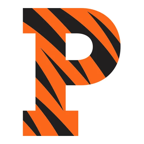 Princeton Tigers