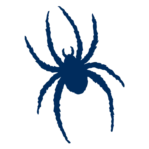 Richmond Spiders