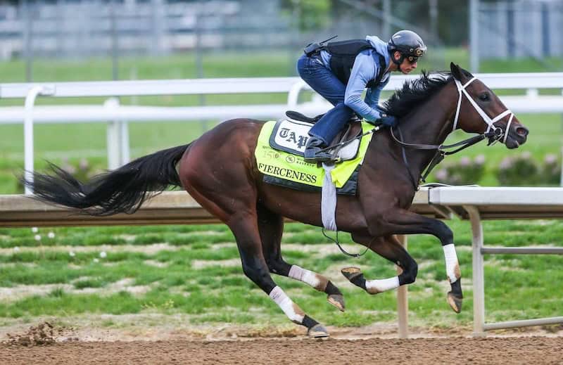 Kentucky Derby - 150th Run for the Roses