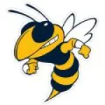 Georgia Tech Yellow Jackets Logo